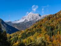 Loferer Steinberge über herbstlich leuchtendem Bergwald